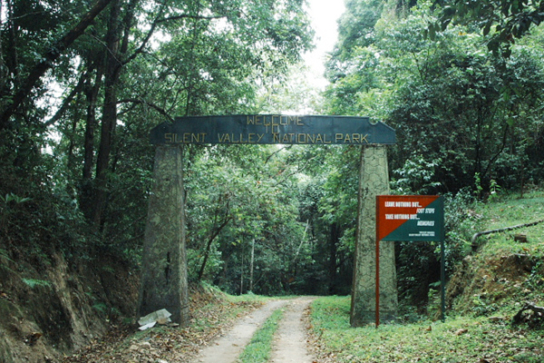 Silent-Valley-National-Park-Kerala