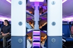 Air New Zealand Economy Flights, Air New Zealand, air new zealand introduces bunk beds in economy flights, Shankar