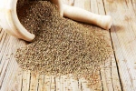 Ajwain advantages, Carom Seeds advantages, benefits of adding carom seeds to your diet, Toothache Ajwain advantages, Carom Seeds advantages, benefits of adding carom seeds to your diet, Toothache
