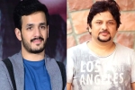 Akhil Akkineni next movie, Akhil Akkineni and Surendar Reddy, akhil akkineni and surendar reddy joins hands, Coronavirus lockdown