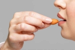 Almonds health breaking, Almonds health breaking, are almonds good for you, Snack Almonds health breaking, Almonds health breaking, are almonds good for you, Snack