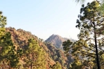 Kasauli, Kasauli new updates, amazing things to do and see in kasauli, Walk