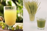 Amla Juice Vs Wheatgrass Juice comparision, Amla Juice Vs Wheatgrass Juice for liver disease, amla juice vs wheatgrass juice for fatty liver, Agent