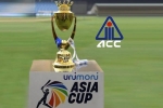 Saurav Ganguly, Asia Cup, asia cup is canceled bcci president saurav ganguly, Saurav ganguly