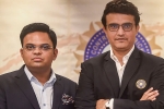 Supreme Court, President, supreme court to decide the future of bcci president saurav ganguly in 2 weeks, Chief justice
