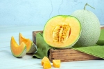 Muskmelon Seeds season, Muskmelon Seeds, health benefits of muskmelon seeds, Oestrogen Muskmelon Seeds season, Muskmelon Seeds, health benefits of muskmelon seeds, Oestrogen