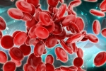 Scientists Generate Blood Forming Stem Cells, Blood Forming Stem Cells, scientists generate blood forming stem cells, Frog