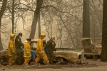 California, fire, california fire mostly contained death toll rises to 84, California wildfire
