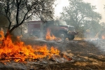 California, California, california wildfire toll reaches 63 631 still missing, Sweaters