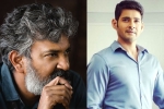 SS Rajamouli, Mahesh Rajamouli film, bigger cast for rajamouli and mahesh s film, S s rajamouli film