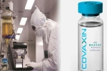Covaxin India, Covaxin India, covaxin india s 1st covid 19 vaccine to get approval for human trials, Rabies