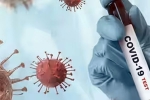 Hantavirus, Covid-19 deaths lattest updates, covid 19 death toll far higher than official numbers who, Drop