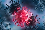 USA Coronavirus latest updates, USA Coronavirus, delta variant makes usa tensed again, Ventilators