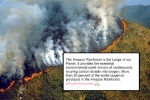 fire at amazon rainforest, Fires in Amazon Rainforest, in pictures devastating fires in amazon rainforest visible from space, Wmo