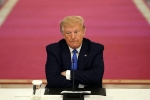 Donald Trump, Donald Trump, donald trump impeachment ii the sequel, Impeachment