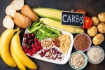 Too Many Carbs breaking, Too Many Carbs news, what happens if you eat too many carbs, Weight gain