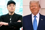 Donald Trump, Donald Trump, elon musk s latest attack on donald trump, Messy