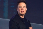 Elon Musk breaking news, Elon Musk latest, elon musk talks about cage fight again, Snack