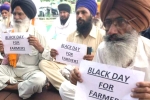 farm bill, produce, why farmers and politicians are against modi s farm laws, Modi government