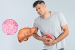 Fatty Liver breaking, Fatty Liver latest, fatty liver can be reversed in just one month, Walk