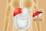 Fatty Liver news, Fatty Liver care, dangers of fatty liver, Food