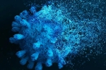 Gene Variant Coronavirus updates, Gene Variant Coronavirus latest, researchers identify gene variant that protects against coronavirus, Jennifer