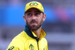 Glenn Maxwell career, Glenn Maxwell runs, australian cricketer glenn maxwell s shocking drinking session, Glenn maxwell Glenn Maxwell career, Glenn Maxwell runs, australian cricketer glenn maxwell s shocking drinking session, Glenn maxwell