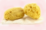 synthetic menstrual sponge, where to buy period sponges, gynecologist warns women against using sea sponges as reusable nurturing alternatives to tampons, Celine