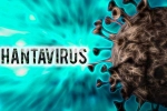 Hantavirus Has 38 Strains and 1 Spread to Humans