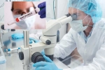 Hantavirus Scientists, Hantavirus Scientists new updates, hantavirus scientists were close to vaccine, Sout