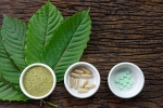 healthy living, Pain Treating Herbal Supplement, this pain treating herbal supplement is not safe for use, Disorders care