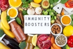 Immunity Tips for body, Immunity Tips for humans, interesting science backed tips to feel your best, Harvard university
