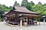 Japan Viral Mikami Shrine famous, Japan Viral Mikami Shrine videos, why are travellers flocking to japan s viral mikami shrine, Japan Japan Viral Mikami Shrine famous, Japan Viral Mikami Shrine videos, why are travellers flocking to japan s viral mikami shrine, Japan