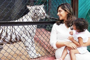 Klin Kaara meets her Namesake tigress on Second birthday