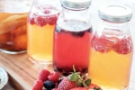 Kombucha and Fermented Foods for health, Kombucha and Fermented Foods health updates, health benefits of kombucha and fermented foods, Diversity