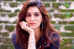 Bollywood, Bollywood, kriti sanon tested positive for covid 19, Neetu kapoor Bollywood, Bollywood, kriti sanon tested positive for covid 19, Neetu kapoor