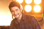 Mahesh Babu, Sara Ali Khan, mahesh babu getting bollywood beauty for his next, Sarileru neekevvaru Mahesh Babu, Sara Ali Khan, mahesh babu getting bollywood beauty for his next, Sarileru neekevvaru
