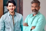 Mahesh Babu and Rajamouli film breaking, Mahesh Babu and Rajamouli film updates, mahesh babu and rajamouli s film new updates, S s rajamouli film