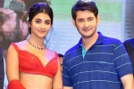 Pooja Hegde upcoming biggies, Pooja Hegde future projects, mahesh babu all set to romance pooja hegde again, Maharshi