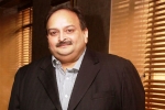mehul choksi company, mehul choksi family, mehul choksi surrenders his indian passport to antigua authorities, Black money mehul choksi company, mehul choksi family, mehul choksi surrenders his indian passport to antigua authorities, Black money