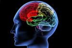 mental activity, Iowa State University, brain use it or lose it, Alzheimer s disease