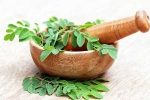 Moringa for good health, Moringa experts, is moringa a must have in your diet, Bloating Moringa for good health, Moringa experts, is moringa a must have in your diet, Bloating