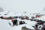 Mount Everest Snowstorm new updates, Mount Everest Snowstorm new updates, more than 1000 stranded near mount everest because of snow storm, Accident