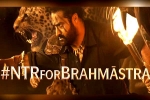 Brahmastra release date, NTR for Brahmastra, ntr turns chief guest for brahmastra event, Fox star