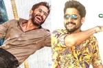 Naga Chaitanya, Naga Chaitanya birthday looks, naga chaitanya gearing up with two films, D day posters Naga Chaitanya, Naga Chaitanya birthday looks, naga chaitanya gearing up with two films, D day posters