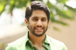 Naga Chaitanya updates, Naga Chaitanya latest, naga chaitanya signs his next, Savyasachi