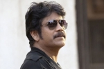 Nagarjuna Hindi movie, Nagarjuna new, nag signs a bollywood flick, Devadas