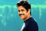 Nagarjuna and Rashmika Mandanna new movie, Dhanush, nagarjuna s surprise in dhanush s film, Sekhar kammula