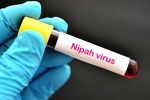 Nipah Virus new case, Nipah Virus new case, nipah virus is back again two deaths registered, Virus