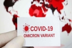 Anthony Fauci, WHO, omicron is no worse than other variants says us scientists, Micheal